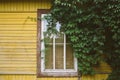 Window of cozy little country house painted yellow among lush green trees and bushes Royalty Free Stock Photo