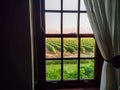 Window with curtain draped and vineyard sunset view