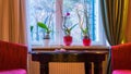 Window with curtains and flowers and red sofa Royalty Free Stock Photo