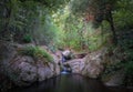 Small cascades in dark forest