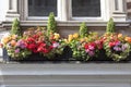 Window decorated with flowers, decorative greenery, typical view of the London street, London, United Kingdom Royalty Free Stock Photo