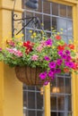 Window decorated with flowers, decorative greenery, typical view of the London street, London, United Kingdom Royalty Free Stock Photo