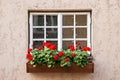 Window decorated with Geranium flowers Royalty Free Stock Photo