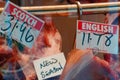 Window display of a British butcher showing various types of meat and their prices, London, UK Royalty Free Stock Photo