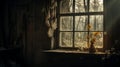 Gauzy Atmospheric Still Life: Sunlit Window In Abandoned House