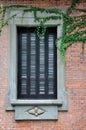 Window with exquisite engrave and vine plant Royalty Free Stock Photo