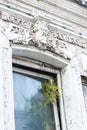 Window and fern of an antique facade with a decorative mask from a plaster mythological creature
