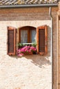 Window with flower Royalty Free Stock Photo