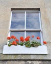 Window Flower Box Royalty Free Stock Photo