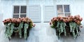 Window and flower box Royalty Free Stock Photo