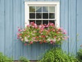 Window flower box