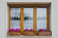 Window with Flower Boxes in Vinci, Italy Royalty Free Stock Photo