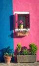 A window with a flower on the island of Burano