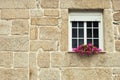 Window with flower pot in brick wall. Sandstone building exterior. Architecture and outdoor design concept.