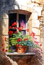 Window flower pot with red flowers, old building, digital watercolor painting Royalty Free Stock Photo