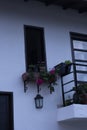 Window with flower pots