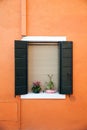 Window with flower pots on the island of Burano Royalty Free Stock Photo
