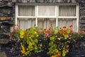 Window with flowerbox, England Royalty Free Stock Photo