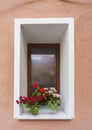 Window and flowerbox Royalty Free Stock Photo