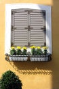 Window & Flowerpot Royalty Free Stock Photo