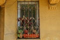 Window with flowerpots and ornamental plants behind bars on a brown wall Royalty Free Stock Photo