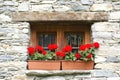 Window With Flowers Royalty Free Stock Photo