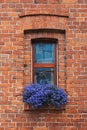 Window with flowers