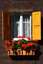 Window and flowers Royalty Free Stock Photo