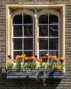 Window and Flowers at Middle Temple in London, UK Royalty Free Stock Photo