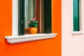 Window with flowers on the orange wall Royalty Free Stock Photo
