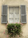 Window with flowers