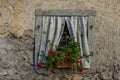 An Italian Window with flowers Royalty Free Stock Photo