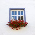 Window with flowers Royalty Free Stock Photo