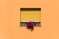 Window framed in orange wall Royalty Free Stock Photo