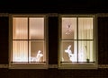 Window frameworks with christmas light decorations behind them