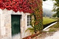 Window of French building is entwined with red ivy. Stream or river near house Royalty Free Stock Photo