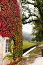 Window of French building is entwined with red ivy. Stream or river near house Royalty Free Stock Photo