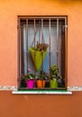 Window with fuchsia, orange and green pots of flowers