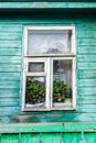 Window with geranium and cactus on green country house wall Royalty Free Stock Photo