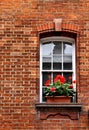 Window with geraniums Royalty Free Stock Photo