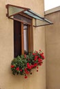 The window with geraniums in an inner courtyard of the old city center - Arad. Arad county, Romania Royalty Free Stock Photo