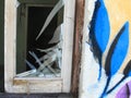 Window glass broken abandoned house wall facade flowers