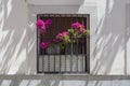 Window grate on rustic facade with flowers Royalty Free Stock Photo