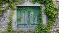 Window with green door and vines Royalty Free Stock Photo