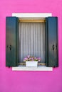 Window with green shutters on bright pink wall of houses with pink flowers. Italy, Venice, Burano. Royalty Free Stock Photo