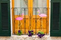 Window with green shutters, decorated with two pink flamingos and some flower pots with pink petunia Royalty Free Stock Photo