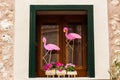 Window with green shutters, decorated with two pink flamingos and some flower pots with pink petunia Royalty Free Stock Photo