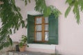 A window with green wooden shutters against a pink wall Royalty Free Stock Photo