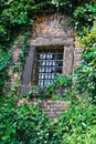 Window with grill in stone wall with ivy