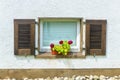 Window of home basement with nice flowers and wood shutters